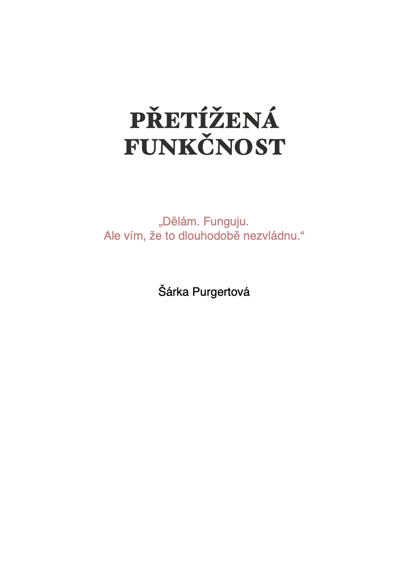 Náhled knihy Přetížená funkčnost - krátký průvodce a odkaz na ukázku v PDF.